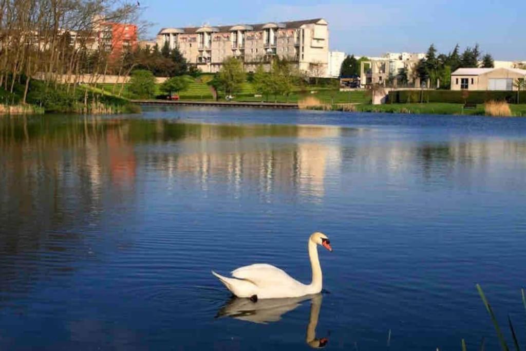 Tres Bel Appartement Entre Paris Et Disneyland Lognes Dış mekan fotoğraf